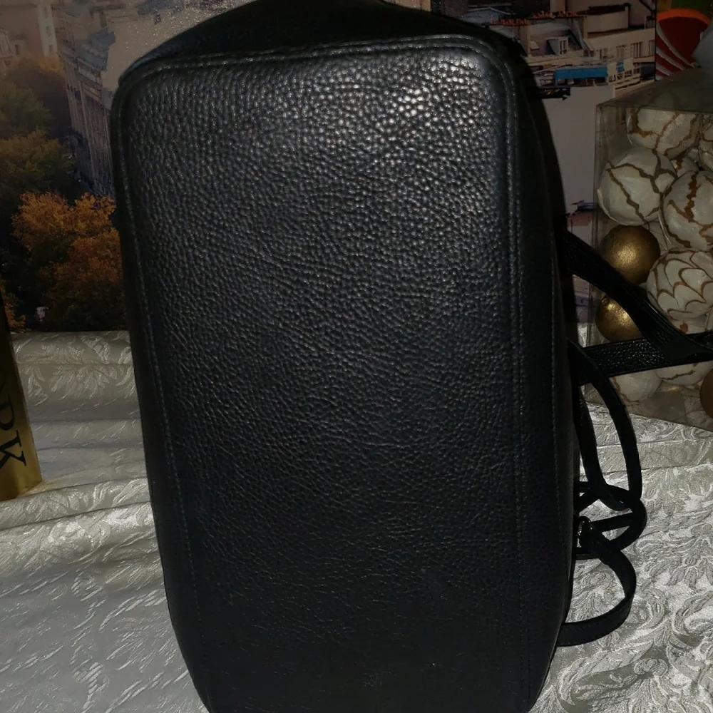 Mario Valentino Xl Sophie Tote Bag